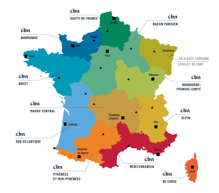 Carte du réseau des CBNs