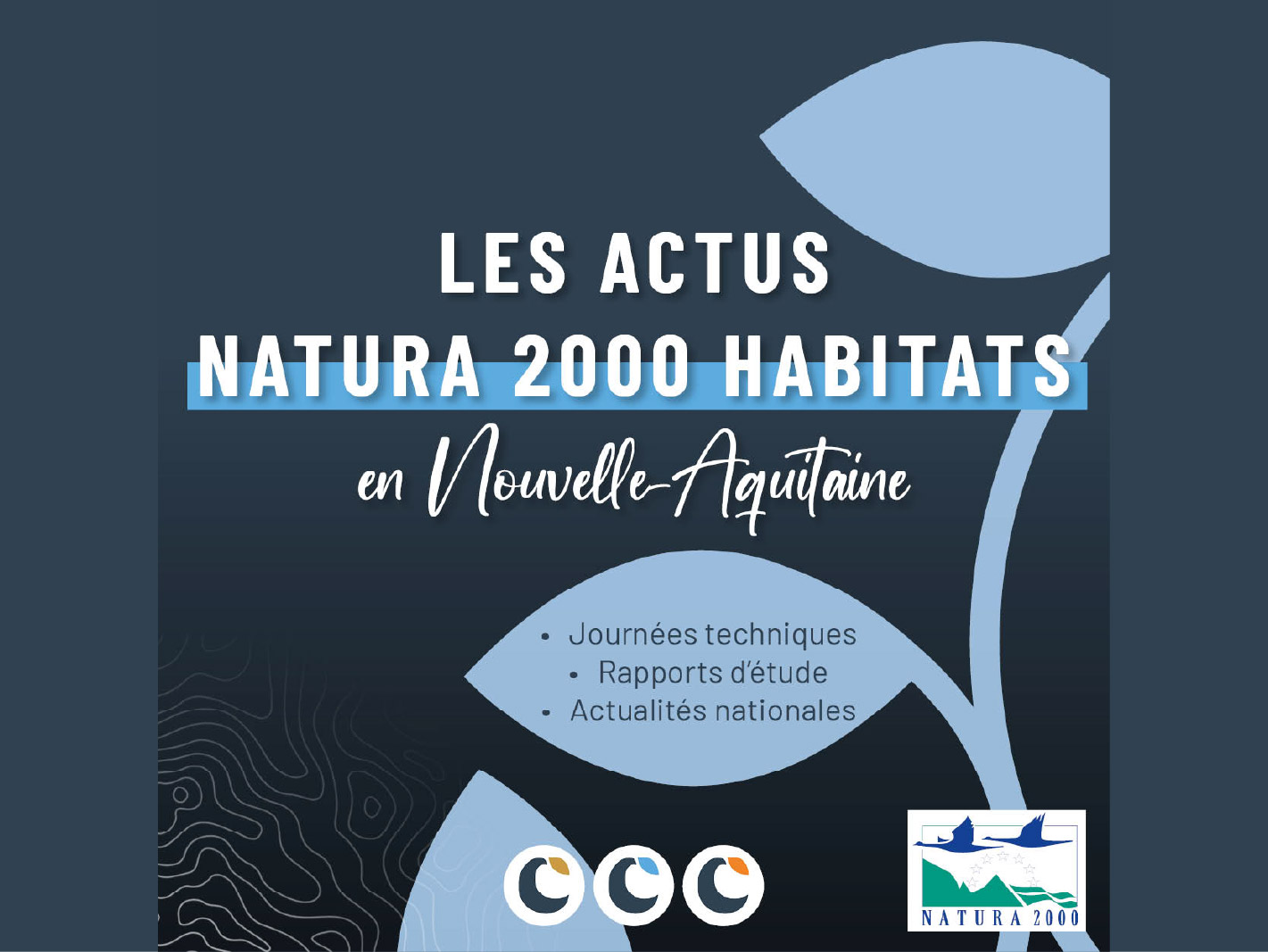 Les actus Natura 2000 Habitats de l'été 2025