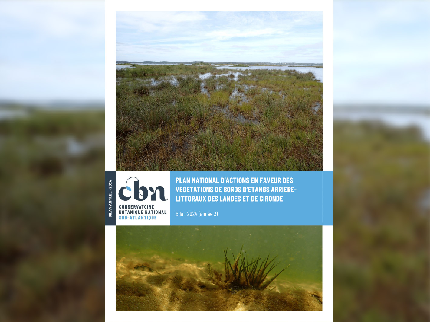 Rapport 2024 du PNA sur les végétations des étangs arrière-littoraux