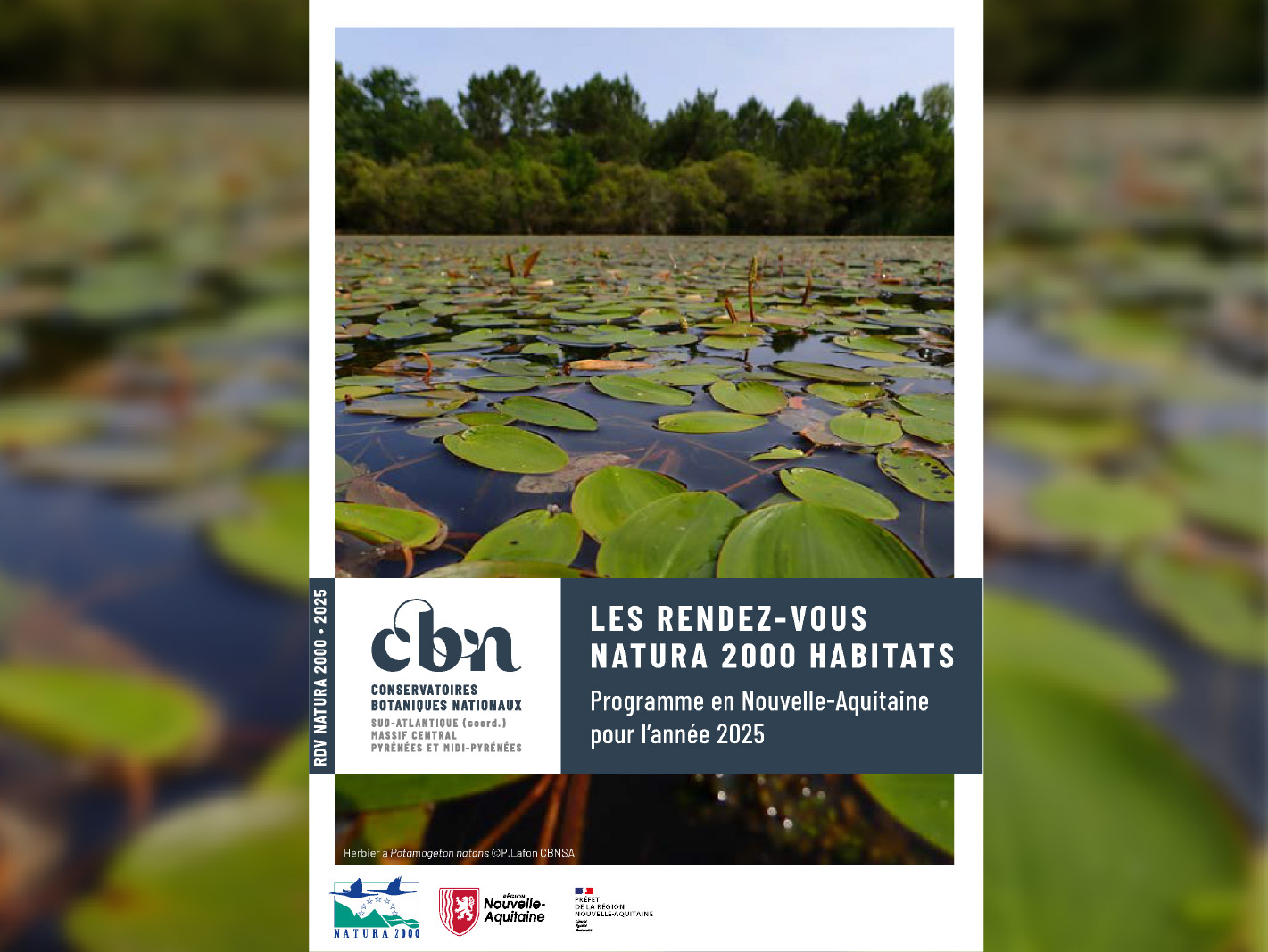 Programme 2025 des rdv Natura 2000 en Nouvelle-Aquitaine