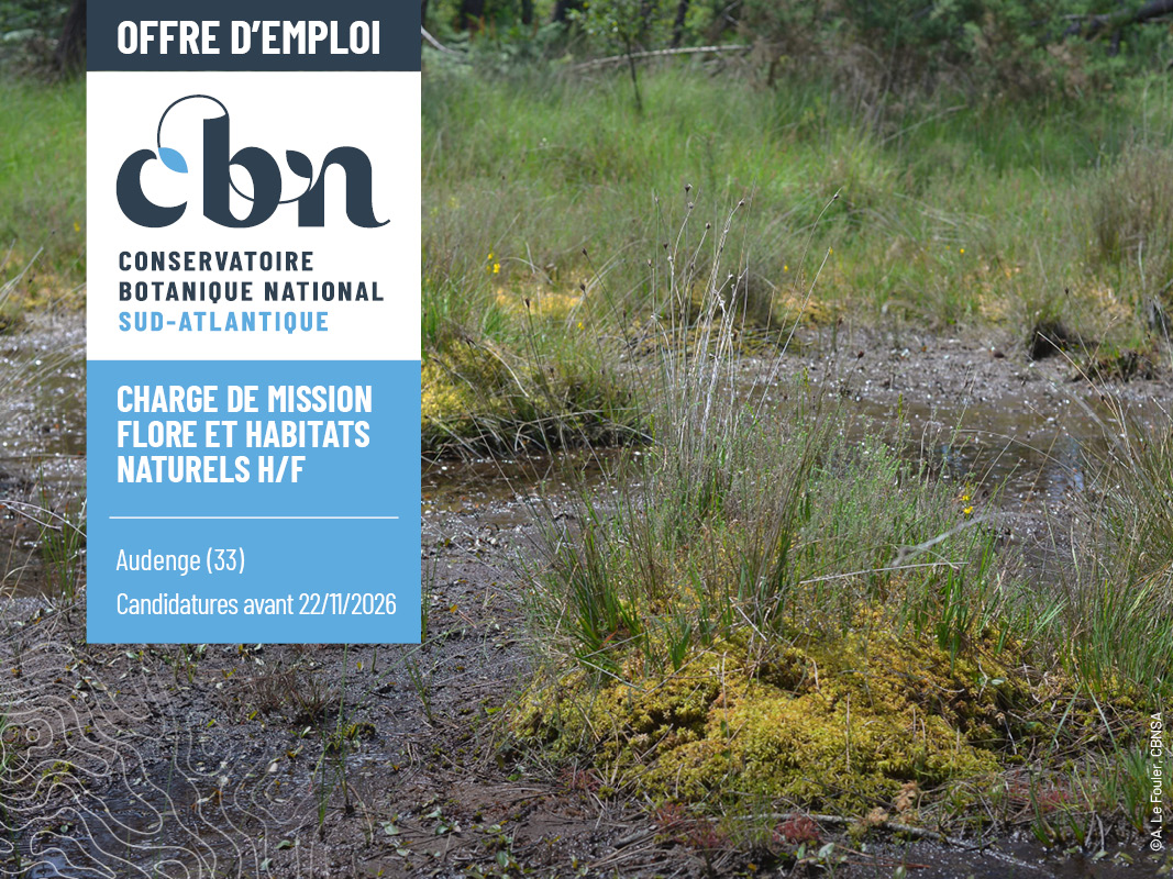 Visuel juxtaposant un encadré mentionnant une offre d'emploi pour un poste de chargé de mission flore et habitats naturels H/F sur une photo de tourbière