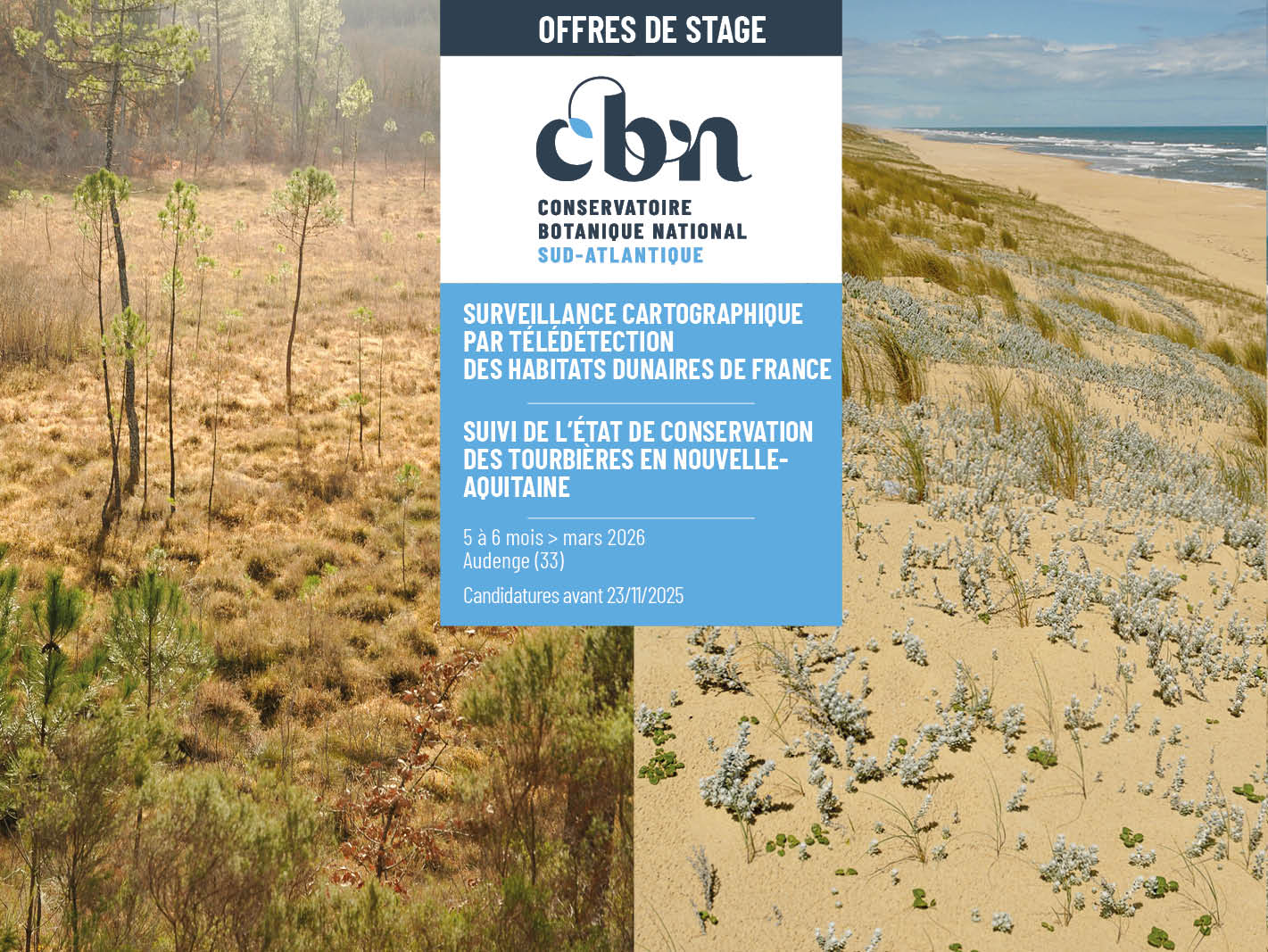 Annonce de 2 offres de stage sur fond de photos assemblées d'une tourbière et d'un milieu dunaire